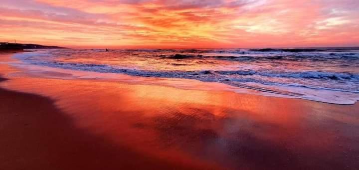 511 Umdloti Resort Beachfront 1Bed Self Catering Apartment Sea View 외부 사진